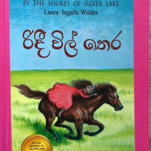 Ridi Vil Thera - රිදී විල් තෙර Little House 05